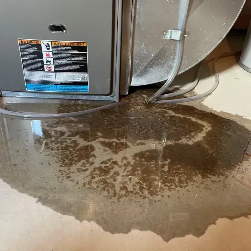 Appliance Leak Cleanup in Cordes Lakes, AZ